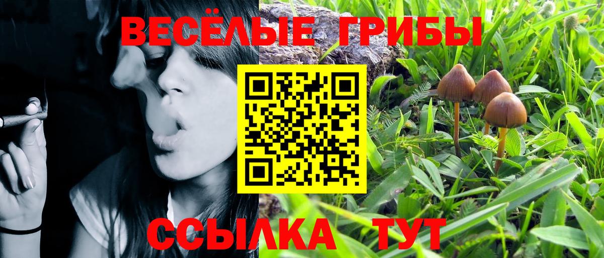 Псилоцибиновые грибы GOLDEN TEACHER Славгород